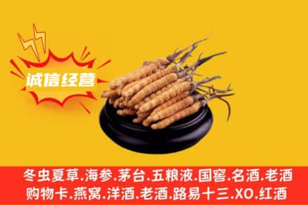 东莞市塘厦镇回收冬虫夏草